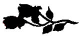 sticker_11076309_39780990