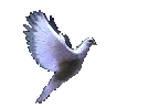sticker_1149888_16341886