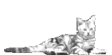 sticker_21907721_38605688