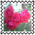 sticker_22094942_29926992