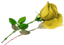 sticker_6517719_23828166