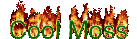 sticker_12526132_33038136