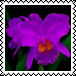 sticker_6195420_42930588