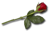 sticker_1386231_5099391