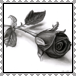 sticker_6171825_34038710