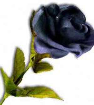 sticker_21601651_33257857