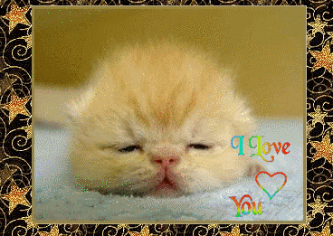 sticker_18363624_38625674