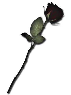 sticker_6059222_8851757