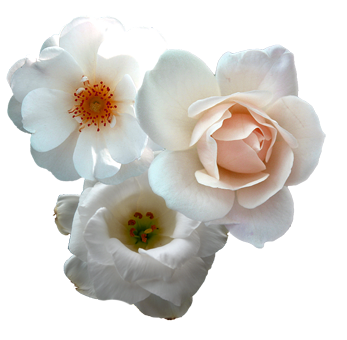 sticker_17992944_35694010