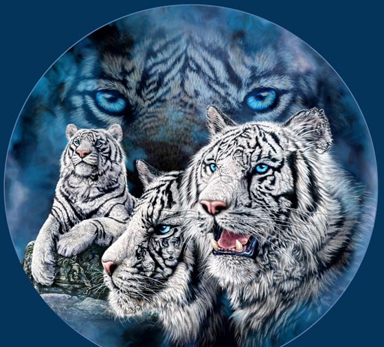 sticker_11549544_28602765