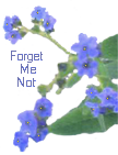 sticker_25442015_35844118
