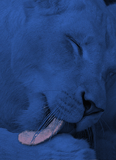 sticker_7888019_9841394