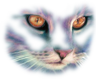 sticker_4962934_23703817