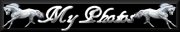sticker_23175150_38524855