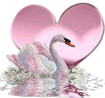sticker_3539137_11494951