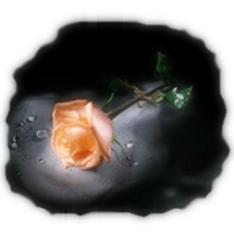 sticker_18678670_24935257