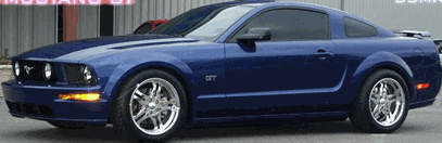 sticker_9728165_15164399