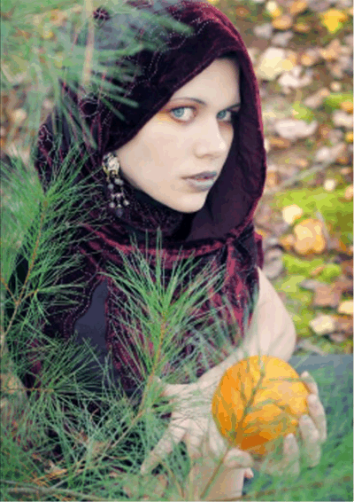 sticker_2908668_6859185