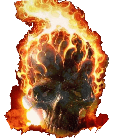 sticker_24044969_40278695
