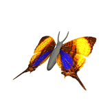sticker_9211190_35412686