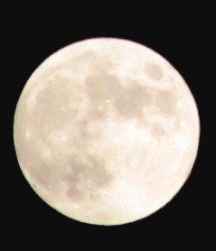 sticker_26191929_38233261
