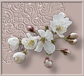 sticker_26535102_39068858