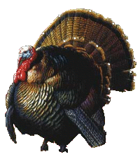 sticker_17110869_41256025