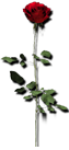 sticker_14532401_24279995