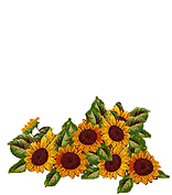 sticker_21048641_38159819