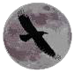 sticker_27102065_37031583