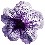 sticker_565746_6940029