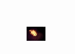 sticker_1386231_4817419