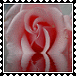 sticker_6171825_36597189