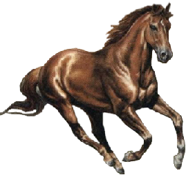 sticker_14342988_41095278