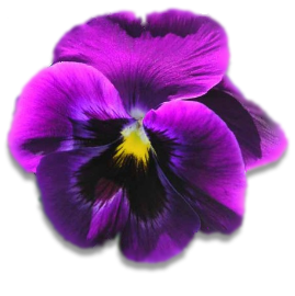sticker_14158913_19113906