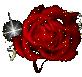 sticker_6680128_11867753