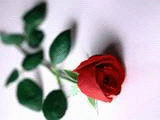 sticker_14173593_31596443