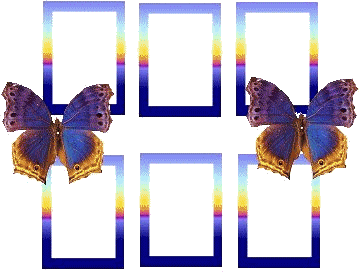 sticker_13337863_20270827