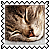sticker_22795194_38409622