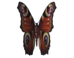 sticker_9211190_35418999