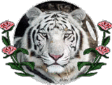 sticker_12070195_19344860