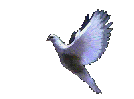sticker_5208756_7462746