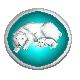sticker_9571884_35954843