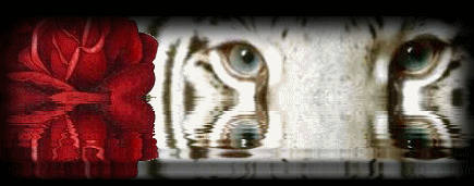sticker_5532123_36855117
