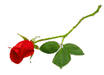 sticker_25952071_35204541