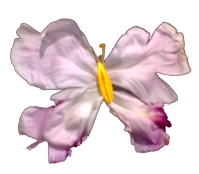 sticker_15369673_22336096