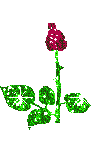 sticker_18252679_25047694