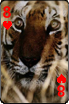 sticker_6195420_40766234
