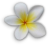 sticker_21037936_34143625