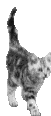 sticker_18918348_32399631